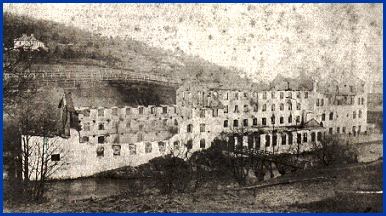 Cambrian factory remains,1889