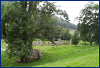 Remains at Abbey Cwmhir