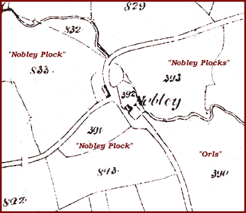 Section of tithe map