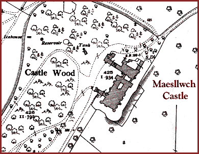 plan of Maesllwch c.1900