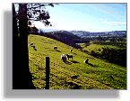 Breconshire landscape