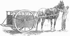 Carrier and cart