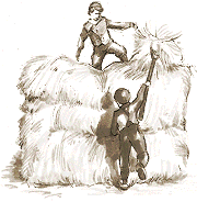 Boys haymaking
