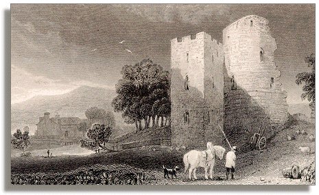 Crickhowell Castle ruins