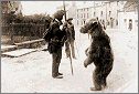 Performing bear,1900