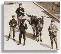 Boys minding cattle