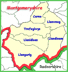 Llanidloes area map