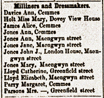 Milliners & dressmakers,1874