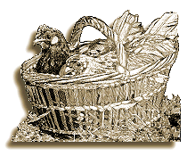 Hens in a basket