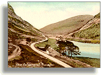 Postcard of Nantgwyllt valley