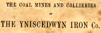 Old Ynscedwyn document
